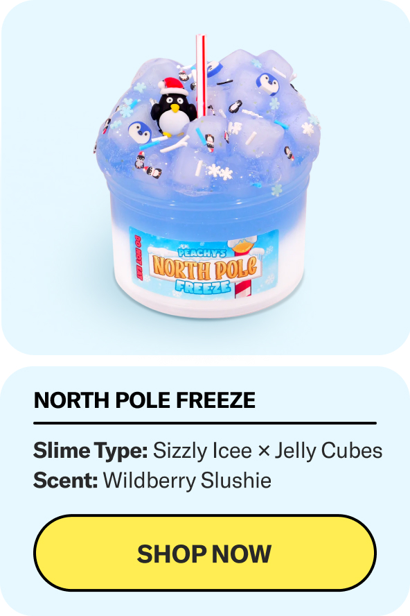 Winter Wonderland Slime Bundle – PeachyBbies